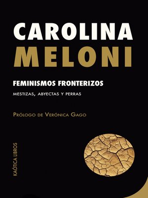 cover image of Feminismos fronterizos